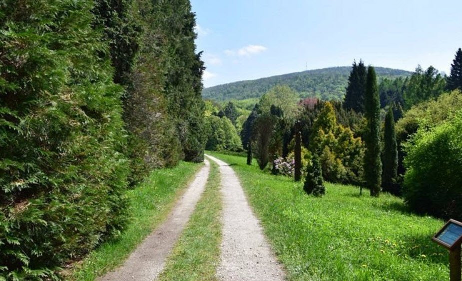 Agostyáni Arborétum, Tata, Hungary, Hungary